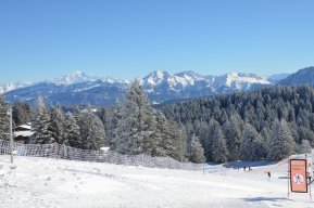 PrivetMasha