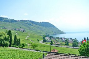 Jul_see
