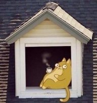 ToryKotta
