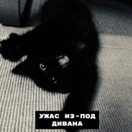 Натуля 1002